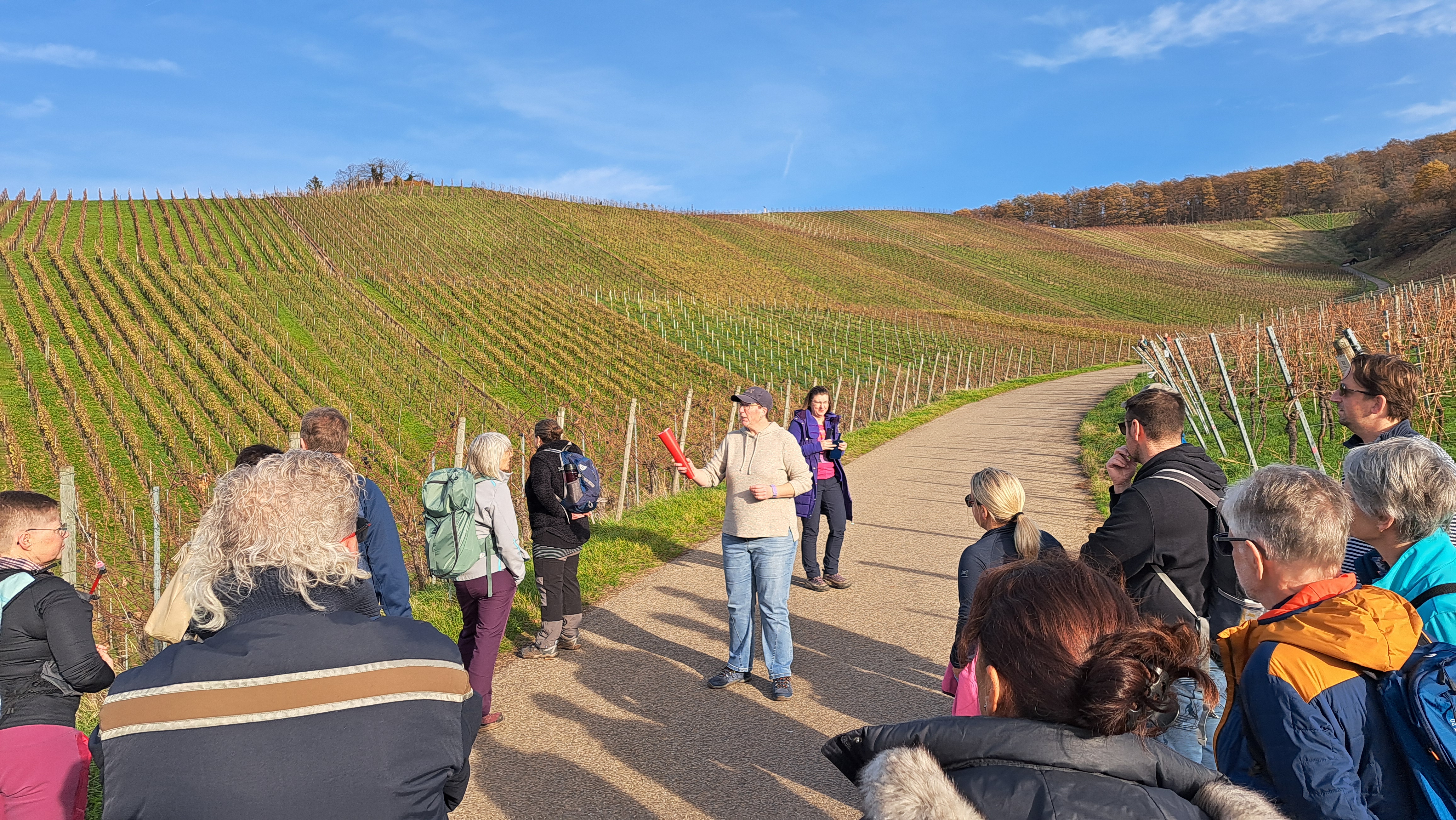 Weinwanderung am Skulpturenpfad