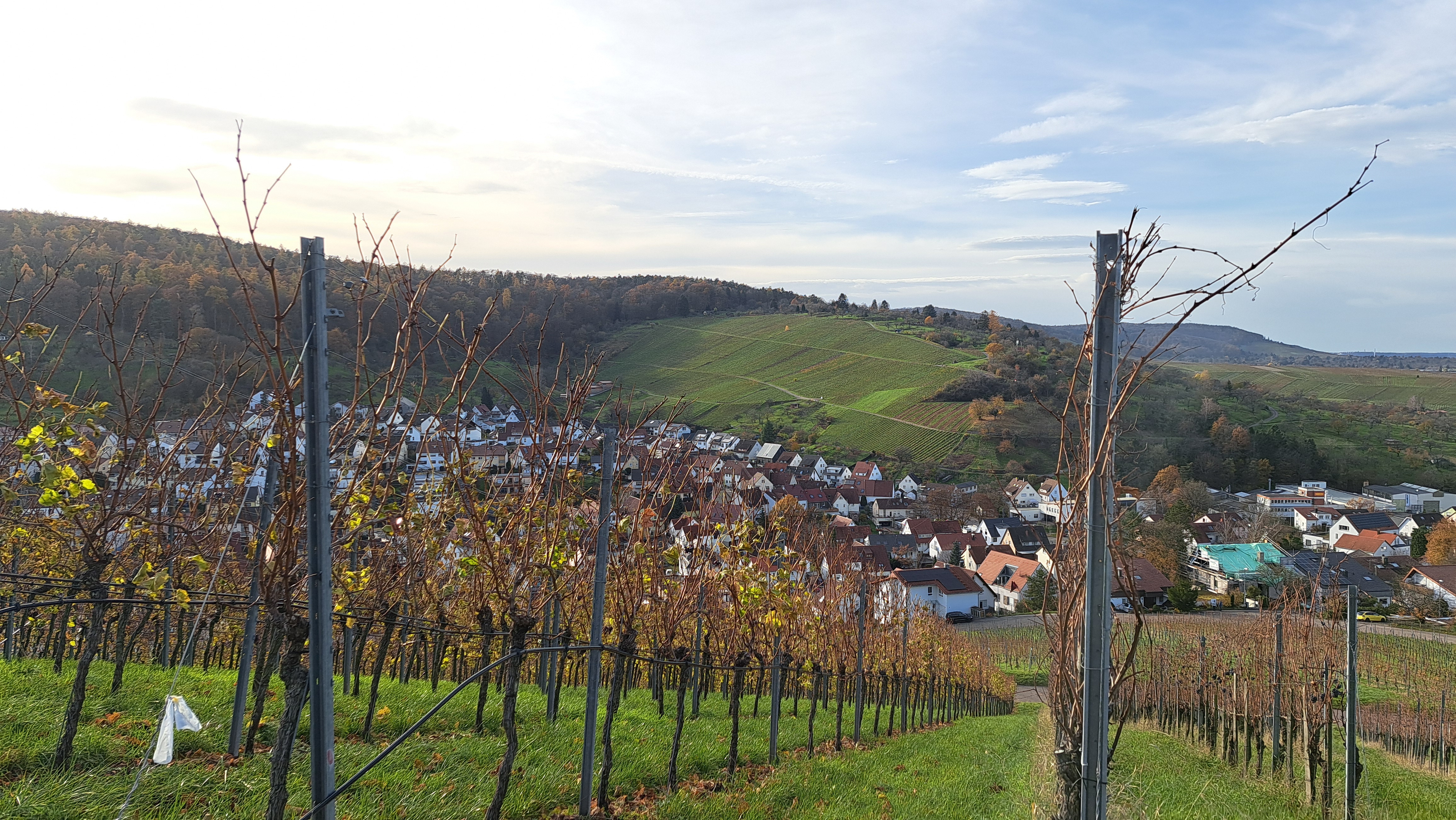 Weinwanderung am Skulpturenpfad