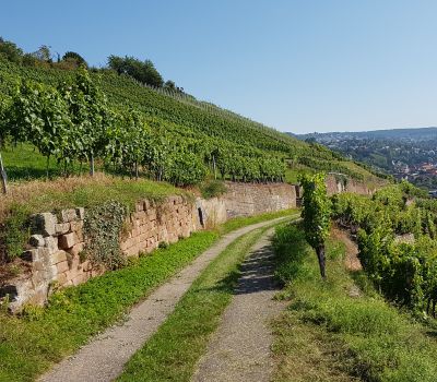 offer-fruehling.jpg